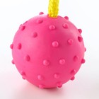 Игрушка мяч на веревке, 6 см, розовая - фото 9585920