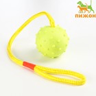 Игрушка мяч на веревке, 6 см, салатовая - фото 6647228