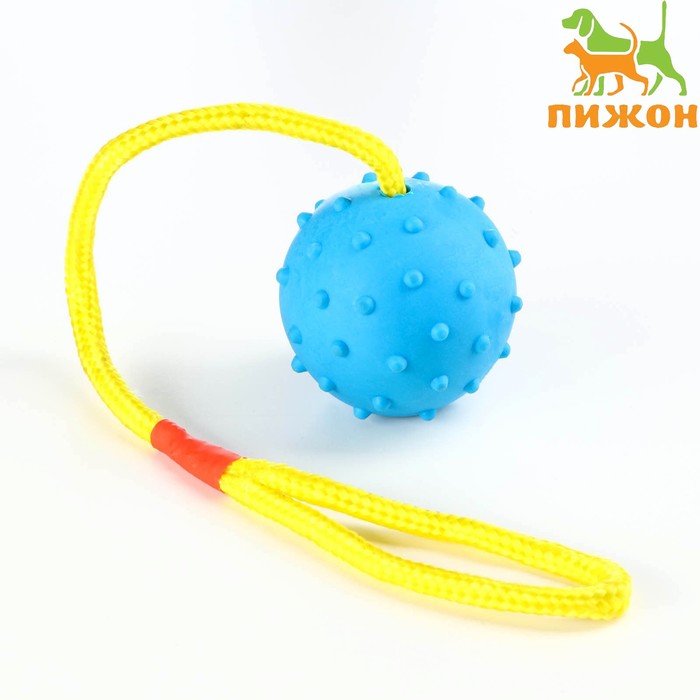 Игрушка мяч на веревке, 6 см, синяя - Фото 1