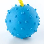 Игрушка для собак, мяч на веревке, 6 см, синяя - фото 67925397
