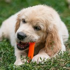 Игрушка пищащая "Кость-лакомство" для собак, 13 см, оранжевая - Фото 6