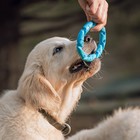 Игрушка жевательная для собак "Витое кольцо", 11,5 см, голубая - фото 6647248