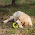 Игрушка жевательная для собак "Шина" 9 см, салатовая - Фото 7