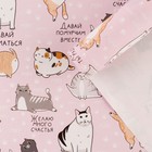 Бумага упаковочная глянцевая «Коты», 70 × 100 см - фото 9852826