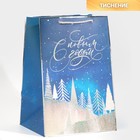 Пакет ламинированный «Зимний лес», 23 × 35 × 20 см - фото 280611368