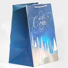 Пакет ламинированный «Зимний лес», 23 × 35 × 20 см - Фото 2