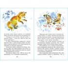 Рассказы о природе, Ушинский К. Д., Бианки В. В., Паустовский К. Г. - Фото 2