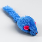 Мышь в пластиковом шаре, 7 х 5 см, прозрачный шар/синяя мышь - фото 6647757