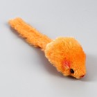 Мышь в пластиковом шаре, 7 х 5 см, зелёный шар/оранжевая мышь - фото 6647760