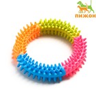 Игрушка жевательная для собак "Кусочек счастья", 12 см, разноцветная - фото 318963534