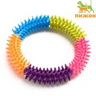 Игрушка жевательная для собак "Кусочек счастья", 15 см, разноцветная - фото 292183089