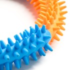 Жевательная игрушка для собак «Кусочек счастья», 15 см, разноцветная - Фото 3