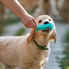 Игрушка-зубочистка для собак Пижон Premium "Зубастик", 12 х 3,8 см, мятная - фото 8685722