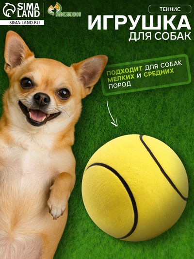 Мяч для собак «Теннис», 6.3 см, цельнолитой, прыгучий, TPR, жёлтый