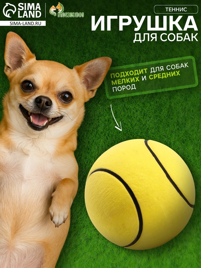 Мяч для собак «Теннис», 6.3 см, цельнолитой, прыгучий, TPR, жёлтый - Фото 1