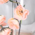 Настольная лампа Беатриса E27 40Вт золото 25х25х43 см RISALUX - фото 21678514 Настольная лампа Беатриса E27 40Вт золото 25х25х43 см RISALUX - фото 21678514