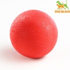 Игрушка "Цельнолитой шар" большой, 5 см, каучук, красный - фото 6647898