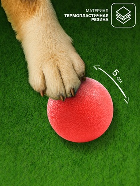 Игрушка «Цельнолитой шар» большой, 5 см, каучук, красный
