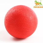 Игрушка "Цельнолитой шар" большой, 7 см, каучук, красный - Фото 1