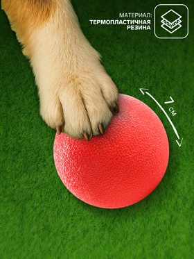 Игрушка «Цельнолитой шар» большой, 7 см, каучук, красный