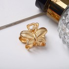 Краб для волос "Рут" бабочка, 3 см, золото - фото 319810037