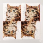 Салфетки бумажные однослойные «Котёнок», набор 100 штук, 24 × 24 см - Фото 3