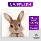 Салфетки бумажные однослойные «Кролик», 33 х 33 см, набор 20 штук - фото 318965241