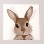 Салфетки бумажные однослойные «Кролик», 33 х 33 см, набор 20 штук - Фото 2