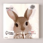 Салфетки бумажные однослойные «Кролик», 33 х 33 см, набор 20 штук - Фото 7