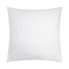 Наволочка - наперник на молнии «Экономь и Я», 70×70 см - Фото 1