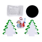 Выращивание кристалла «Новогодние кристаллы», набор для опытов, Дед Мороз и Снегурочка - Фото 3