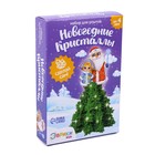 Выращивание кристалла «Новогодние кристаллы», набор для опытов, Дед Мороз и Снегурочка - Фото 4