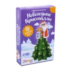 Выращивание кристалла «Новогодние кристаллы», набор для опытов, Дед Мороз и Снегурочка - Фото 4