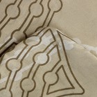 Постельное бельё 2 сп Экономь и Я «Серые цветы» 173х215см, 175х214см, 50х70см-2 шт, 60 г/м2, микрофибра 9050352 - фото 13400781