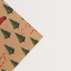 Бумага упаковочная крафтовая «С Новым Годом», 70 × 100 см - Фото 3