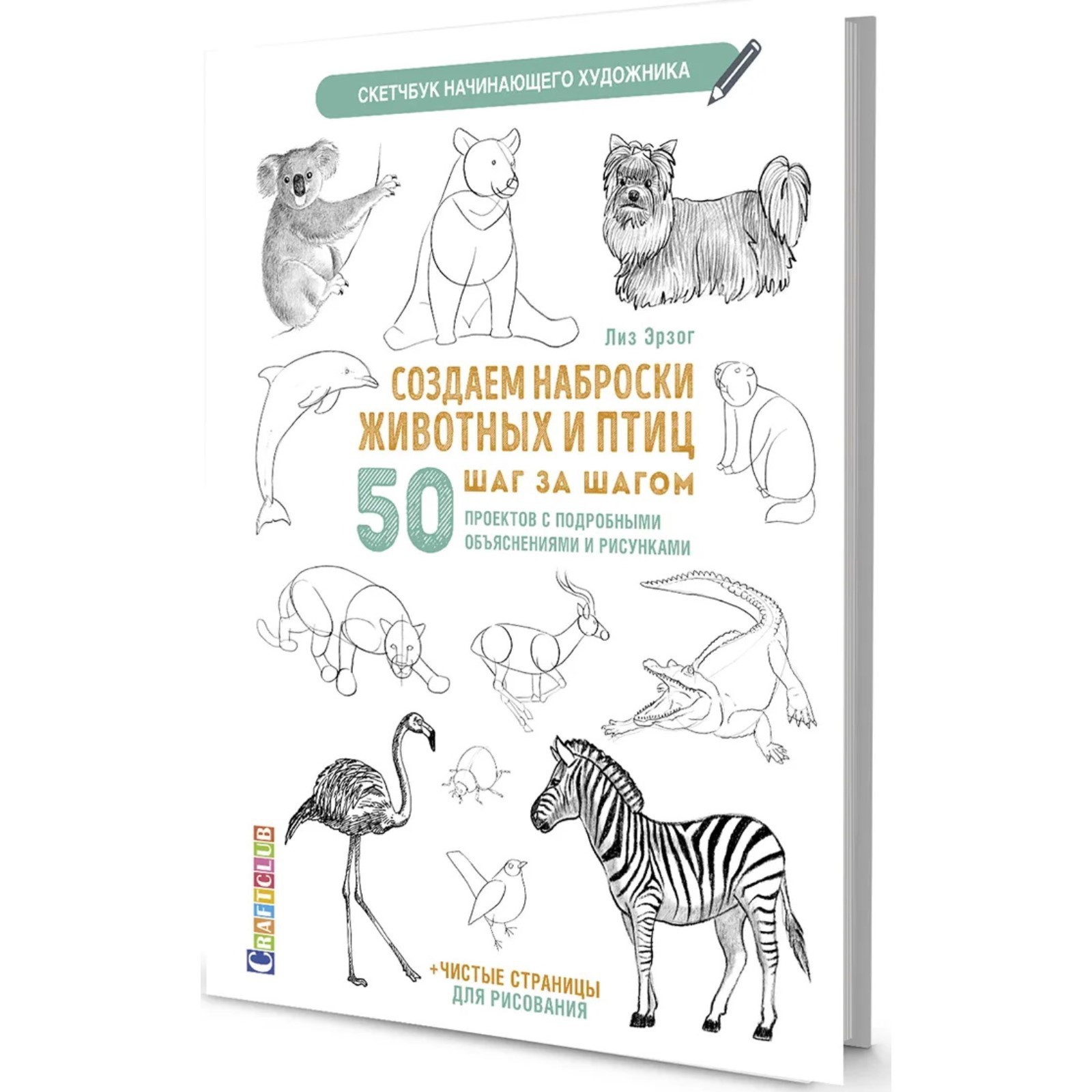 Скетчбук. Создаем наброски животных и птиц шаг за шагом: 50 проектов с  подробными объяснениями. Эрзог Лиз (9175723) - Купить по цене от 304.00  руб. | Интернет магазин SIMA-LAND.RU