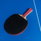 Ракетка для настольного тенниса BOSHIKA Advanced 2*, для любителей, накладка DOUBLE FISH 815 1.5 мм, коническая ручка - фото 4065580