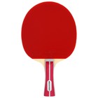 Ракетка для настольного тенниса BOSHIKA Advanced 2*, для любителей, накладка DOUBLE FISH 815 1.5 мм, коническая ручка - Фото 3