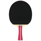 Ракетка для настольного тенниса BOSHIKA Advanced 2*, для любителей, накладка DOUBLE FISH 815 1.5 мм, коническая ручка - фото 4065573
