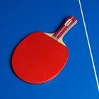 Ракетка для настольного тенниса BOSHIKA Advanced 2*, для любителей, накладка DOUBLE FISH 815 1.5 мм, коническая ручка - фото 4065579
