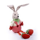Мягкая игрушка «Кролик», в клетку - фото 3199318