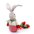 Мягкая игрушка «Кролик», в клетку - фото 3199319