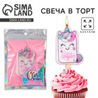Свеча для торта «С Днём Рождения», единорог, 4.3×7.3 см - Фото 1