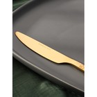 Нож столовый из нержавеющей стали Magistro «Олин GOLD», длина 22,5 см, на подвесе, цвет золотой - Фото 2