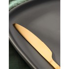 Нож столовый из нержавеющей стали Magistro «Олин GOLD», длина 22,5 см, на подвесе, цвет золотой - Фото 3