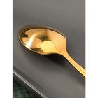 Ложка чайная из нержавеющей стали Magistro «Олин GOLD», длина 16 см, на подвесе, цвет золотой - фото 6649349