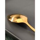 Ложка чайная из нержавеющей стали Magistro «Олин GOLD», длина 16 см, на подвесе, цвет золотой - фото 3584645