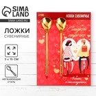 Ложки чайные с подвесом «Сладкой парочке», 3×15 см - Фото 1