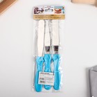 Набор лопаток кондитерских «Вкус счастья», 23 см х 8.5 см х 2.5 см 3 шт 7800974 - фото 16417388