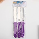 Набор лопаток кондитерских «Девочки», 23 см х 8.5 см х 2.5 см 3 шт - фото 24424651